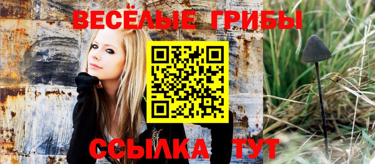 Псилоцибиновые грибы Psilocybe Первоуральск
